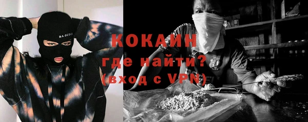 ГАЛЛЮЦИНОГЕННЫЕ ГРИБЫ Инсар