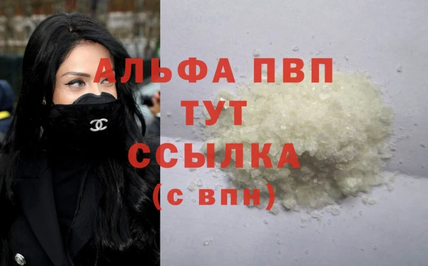 ГАЛЛЮЦИНОГЕННЫЕ ГРИБЫ Инсар