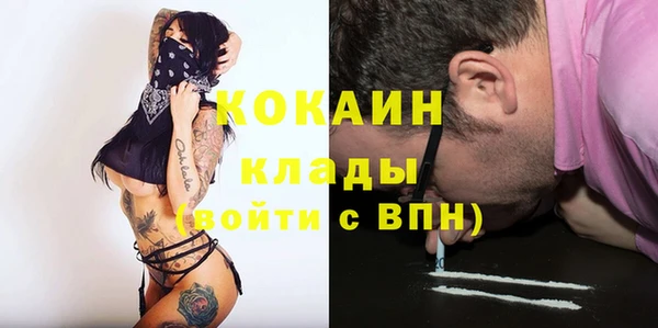 ГАЛЛЮЦИНОГЕННЫЕ ГРИБЫ Инсар