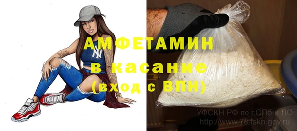 ГАЛЛЮЦИНОГЕННЫЕ ГРИБЫ Инсар