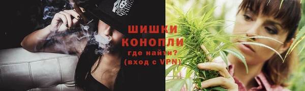 ГАЛЛЮЦИНОГЕННЫЕ ГРИБЫ Инсар