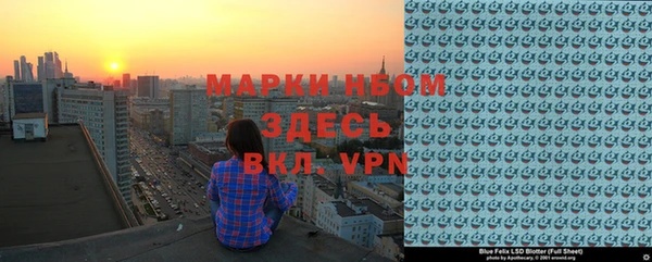 ГАЛЛЮЦИНОГЕННЫЕ ГРИБЫ Инсар