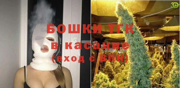 ГАЛЛЮЦИНОГЕННЫЕ ГРИБЫ Инсар