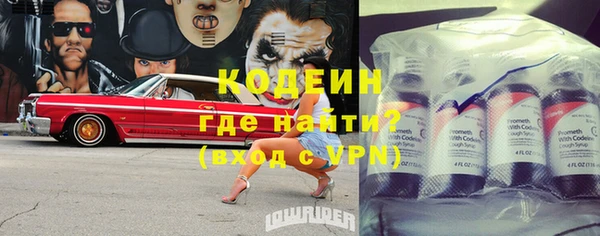 ГАЛЛЮЦИНОГЕННЫЕ ГРИБЫ Инсар